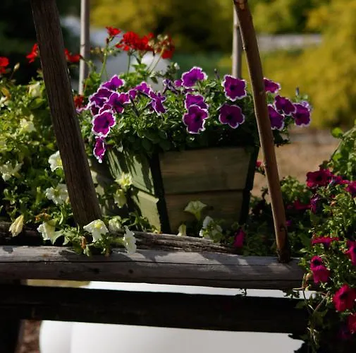 Rezort Siolo Osrodek Rekreacji Rodzinnej I Restauracja