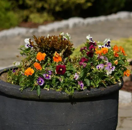Siolo Osrodek Rekreacji Rodzinnej I Restauracja Rezort