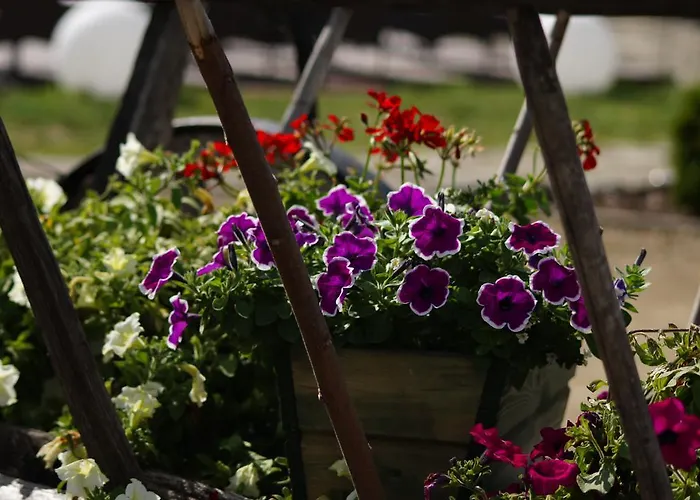 Siolo Osrodek Rekreacji Rodzinnej I Restauracja