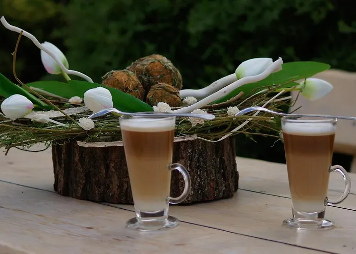 Siolo Osrodek Rekreacji Rodzinnej I Restauracja Rezort Gaszowice